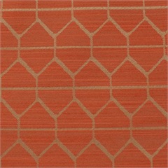 Hive Coral